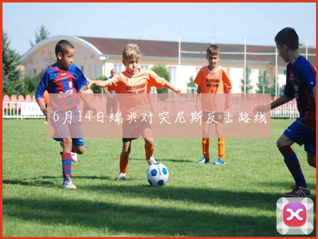 6月14日瑞典对突尼斯反击路线