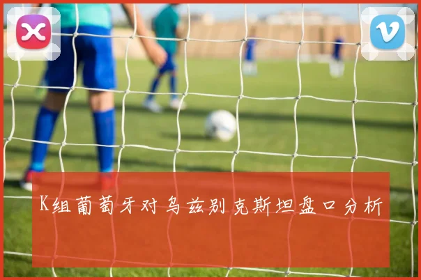 K组葡萄牙对乌兹别克斯坦盘口分析